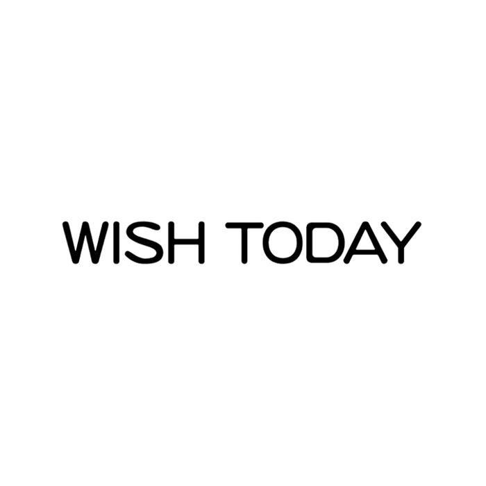 WISH TODAY商标转让