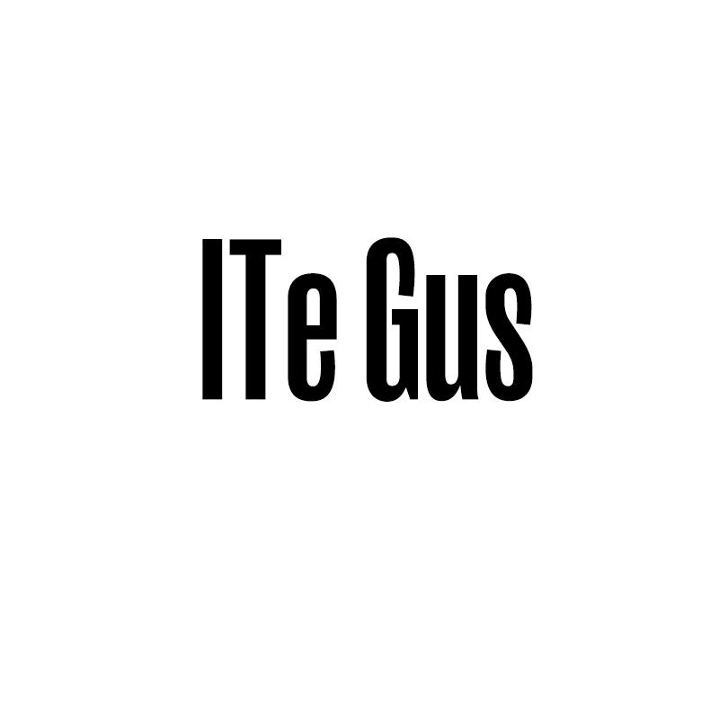 ITE GUS商标转让