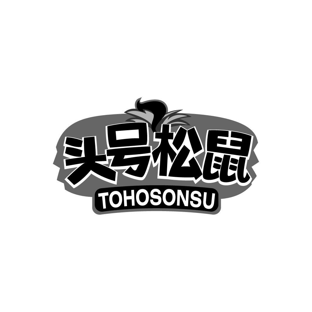 头号松鼠 TOHOSONSU商标转让