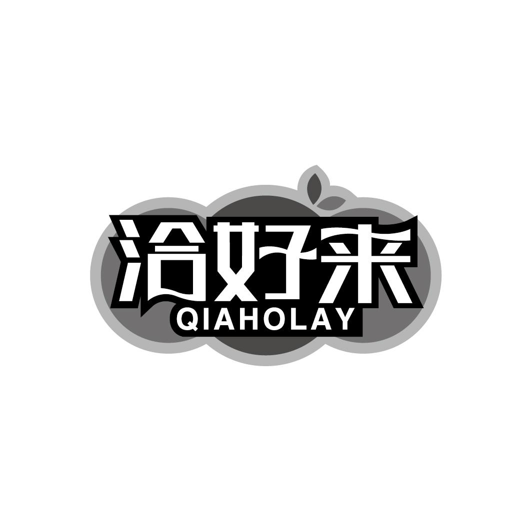 洽好来 QIAHOLAY商标转让