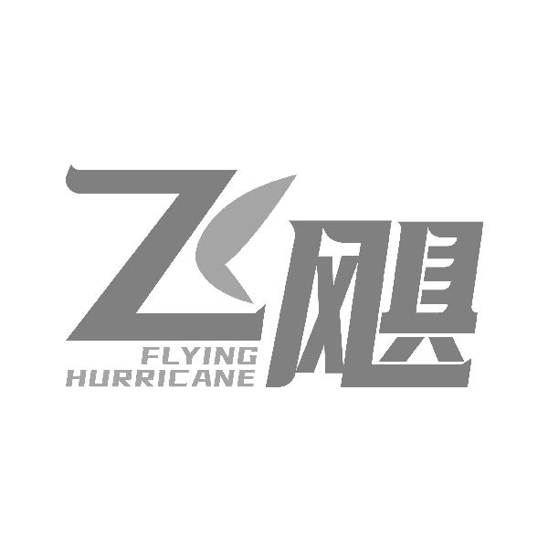 飞飓 FLYING HURRICANE商标转让