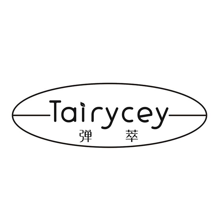 弹萃 TAIRYCEY商标转让