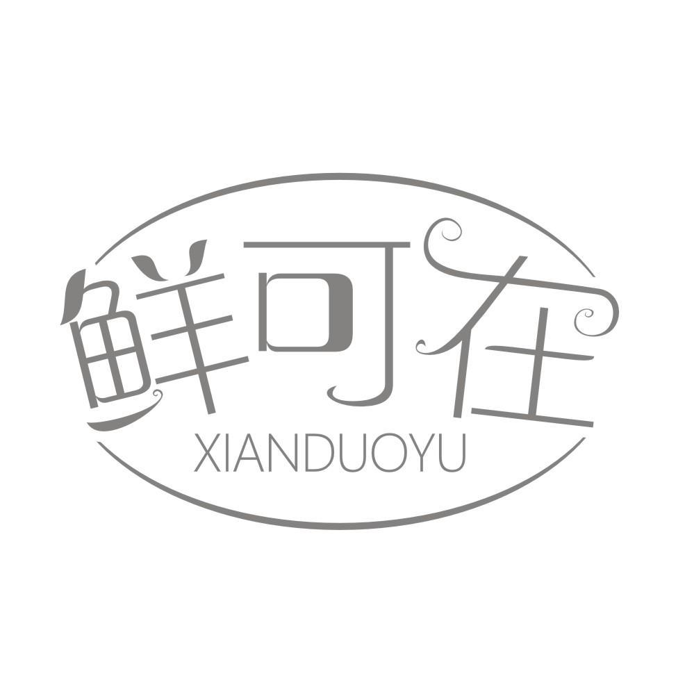 鲜可在 XIANDUOYU商标转让