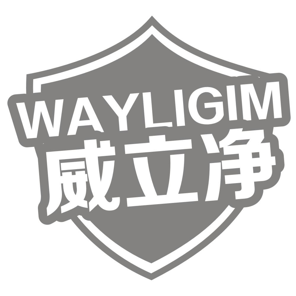 威立净 WAYLIGIM商标转让