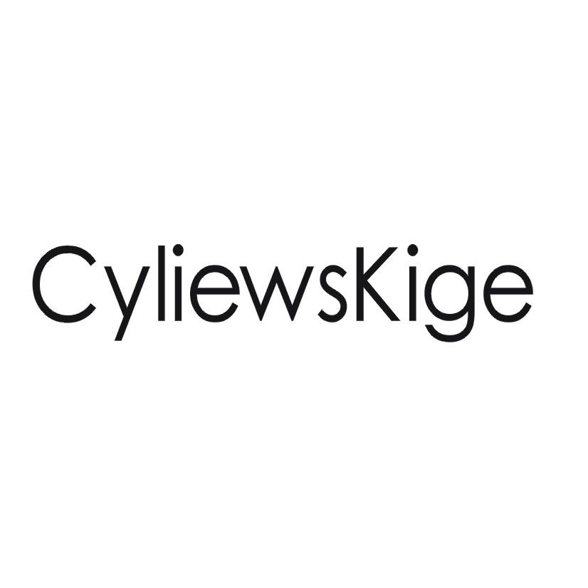 CYLIEWSKIGE商标转让