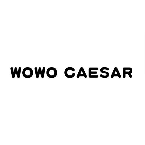 WOWO CAESAR商标转让