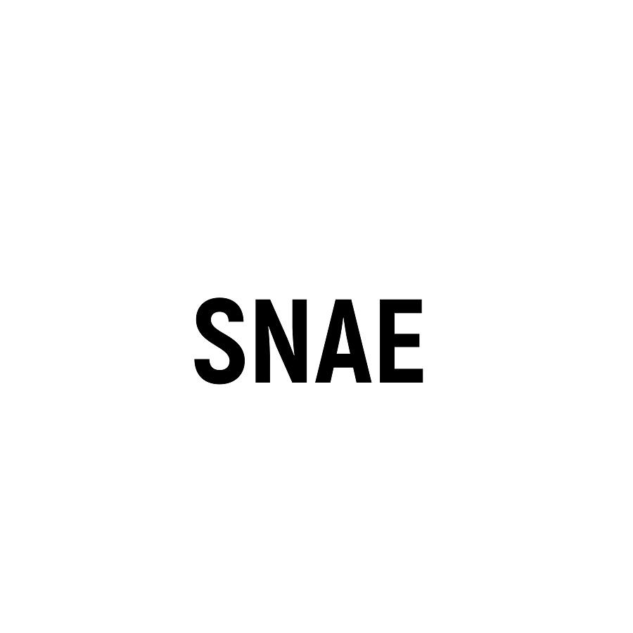 SNAE商标转让