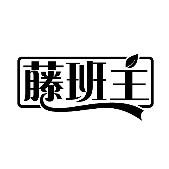 藤班主商标转让