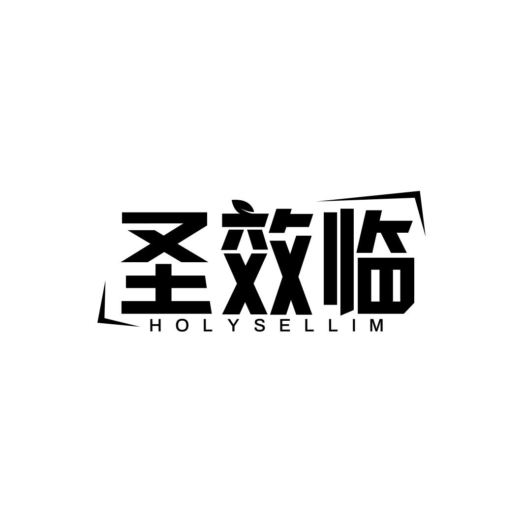 圣效临 HOLYSELLIM商标转让