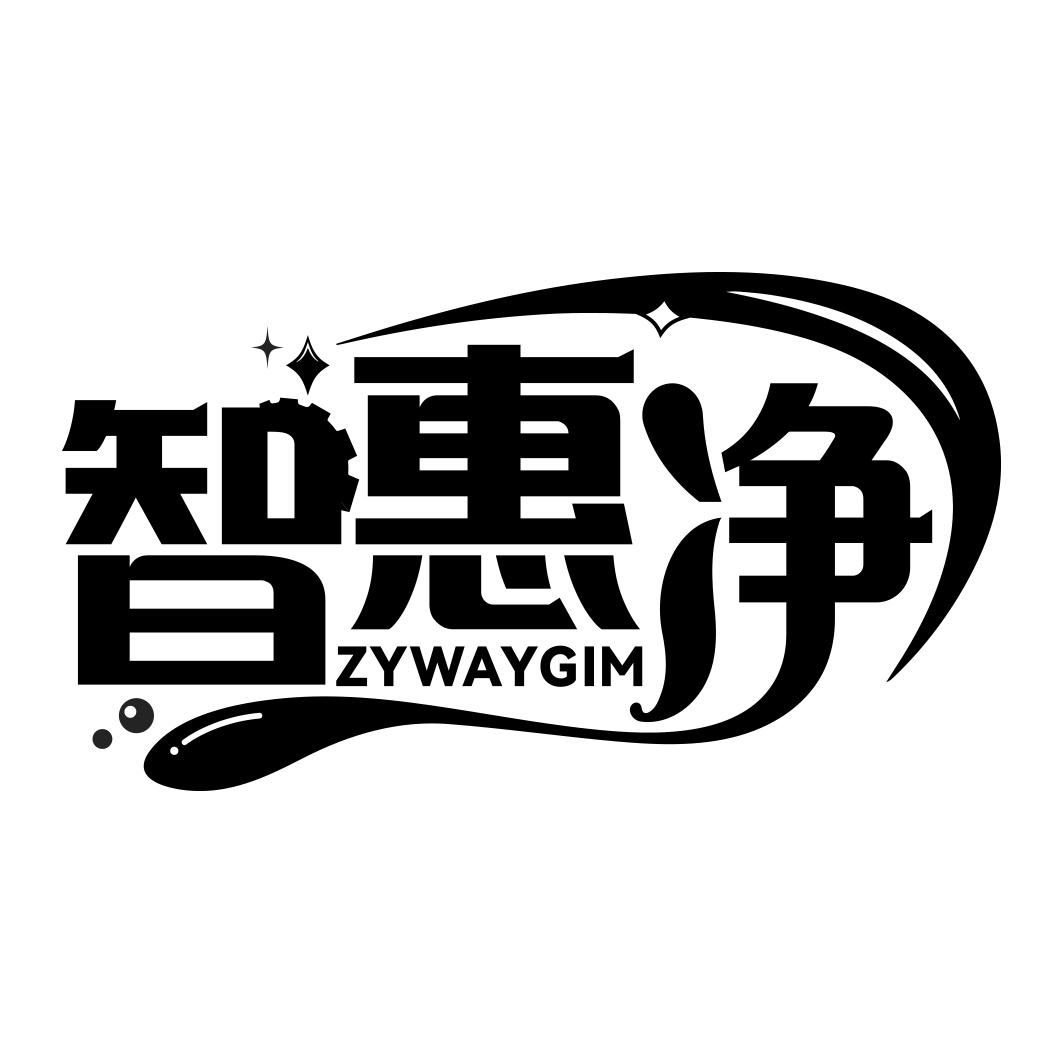 智惠净 ZYWAYGIM商标转让