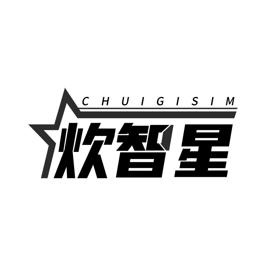 炊智星 CHUIGISIM商标转让