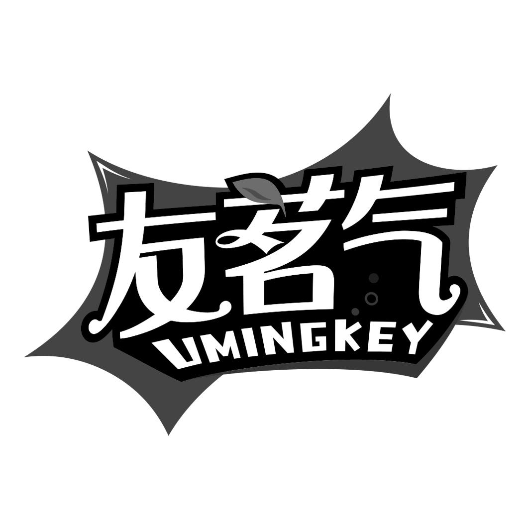 友茗气 UMINGKEY商标转让