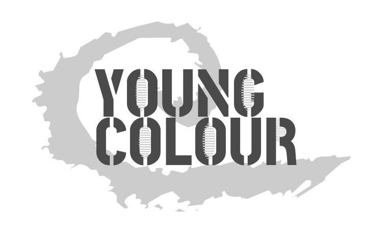 YOUNG COLOUR商标转让