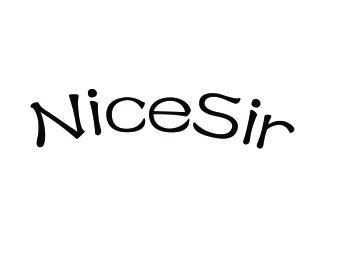 NICESIR商标转让