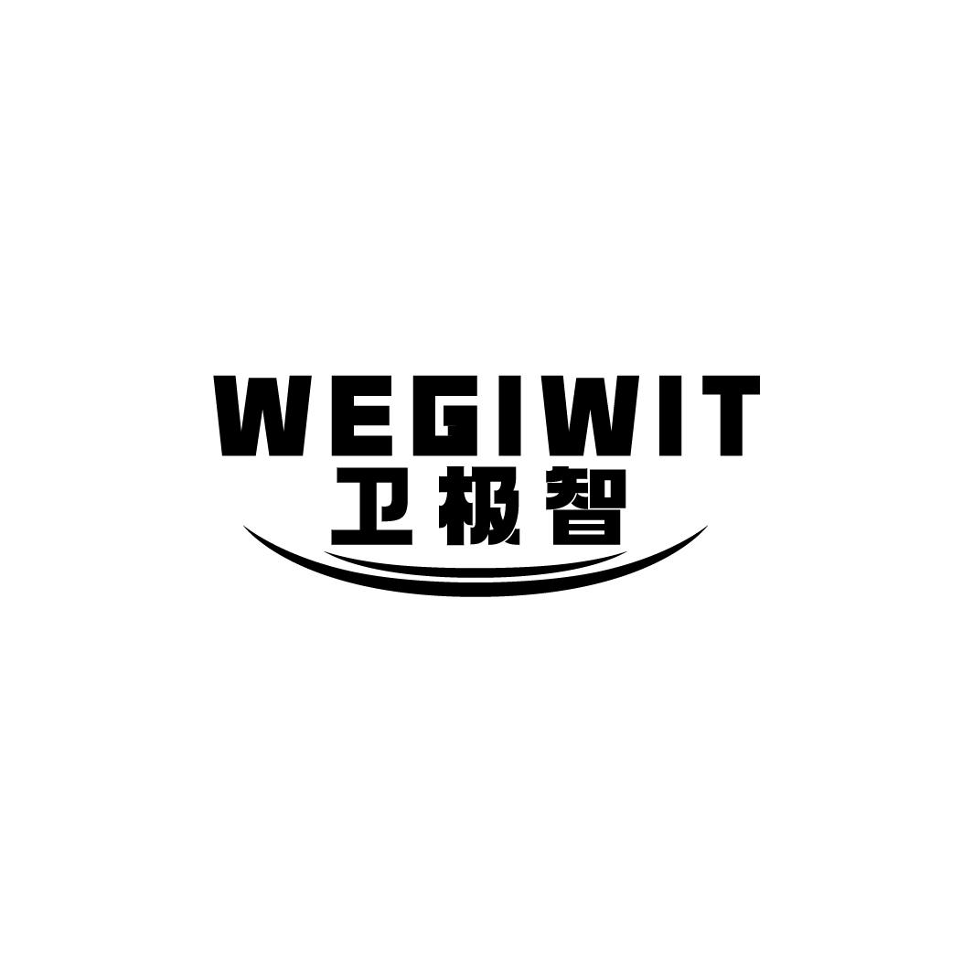 WEGIWIT 卫极智商标转让