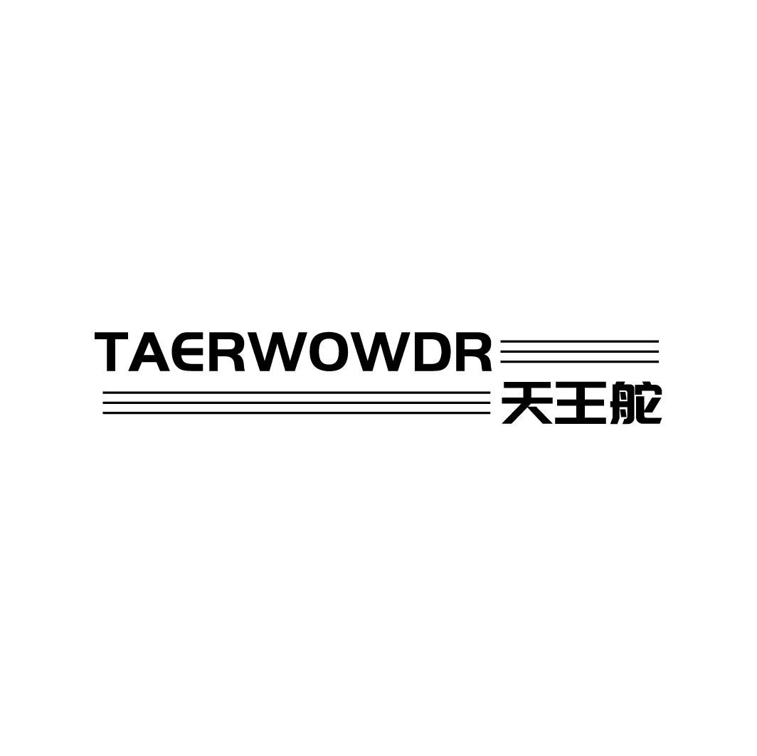 天王舵 TAERWOWDR商标转让