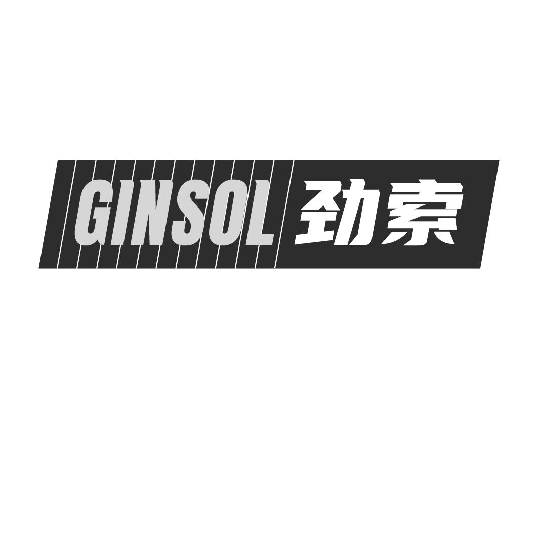 GINSOL 劲索商标转让