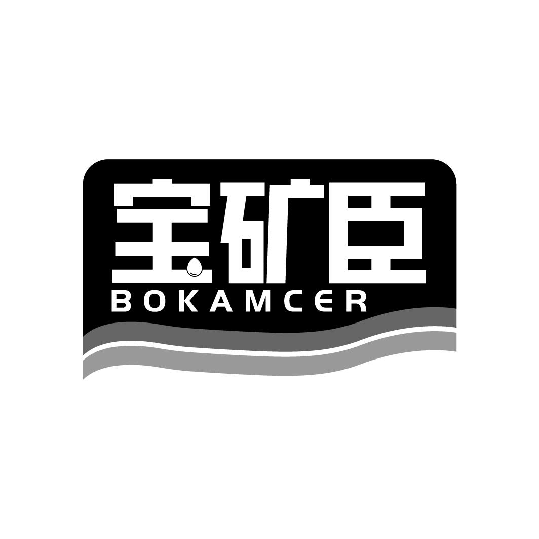 宝矿臣 BOKAMCER商标转让