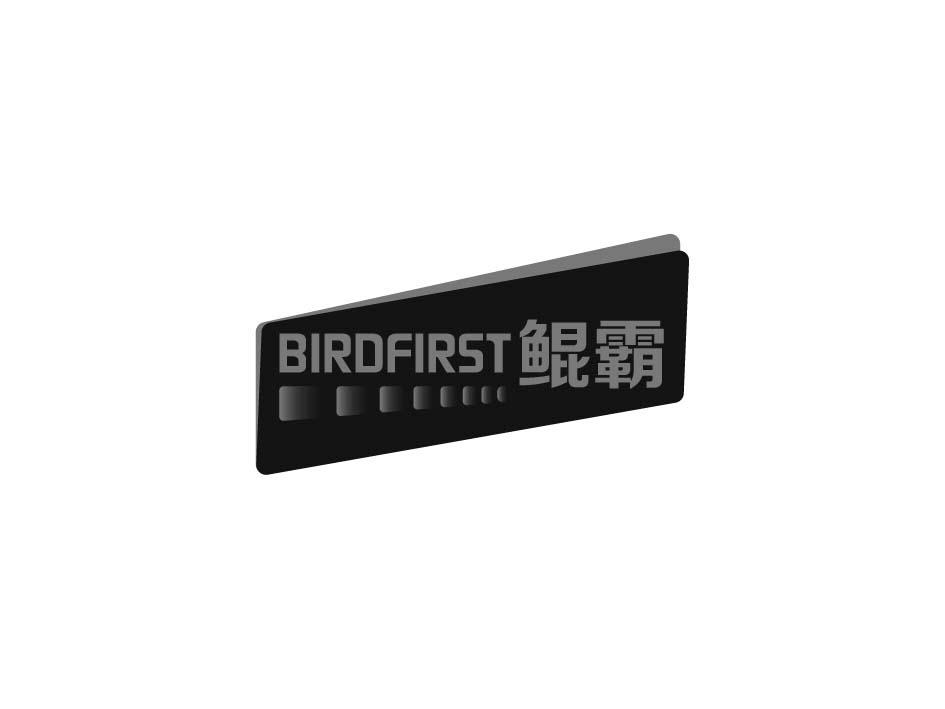 BIRDFIRST 鲲霸商标转让