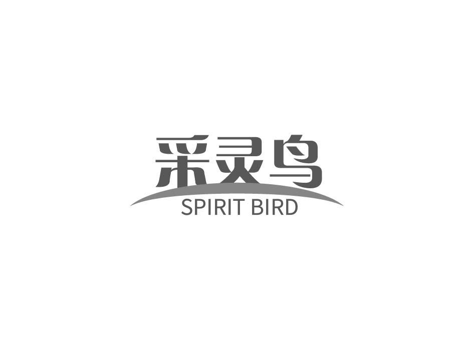 采灵鸟 SPIRIT BIRD商标转让