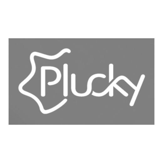 PLUCKY商标转让