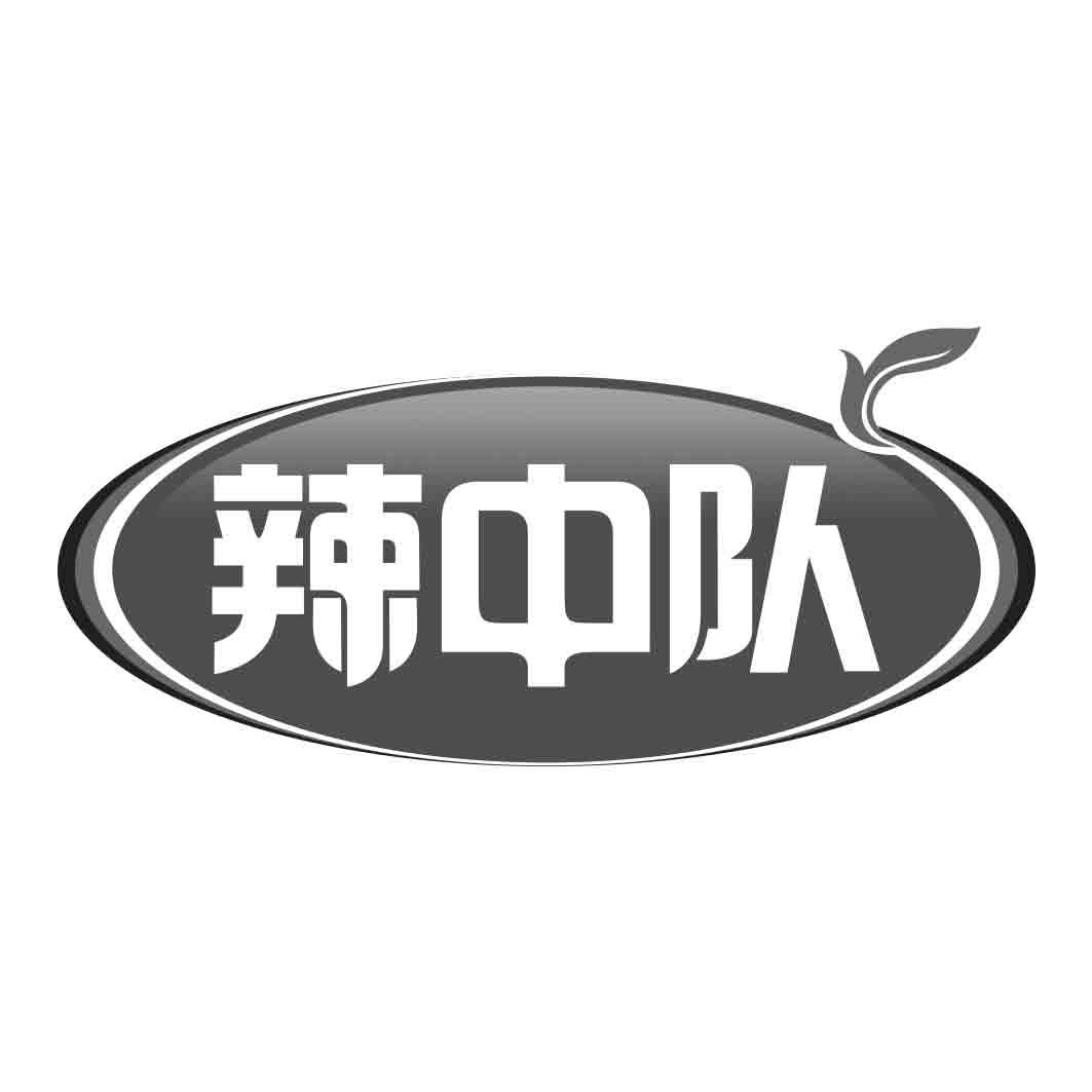 辣中队商标转让