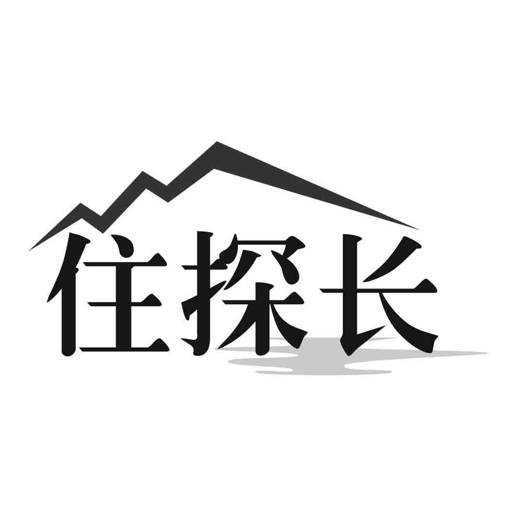 住探长商标转让