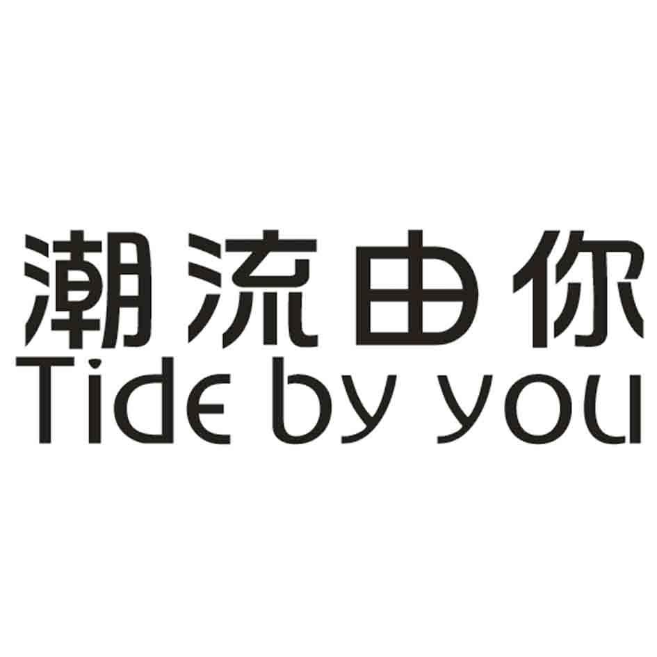 潮流由你 TIDE DY YOU商标转让