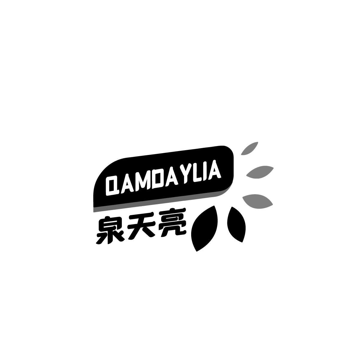 泉天亮 QAMDAYLIA商标转让