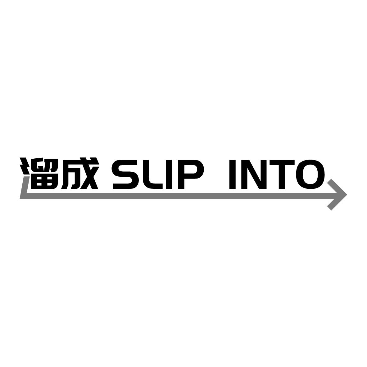 溜成 SLIP INTO商标转让