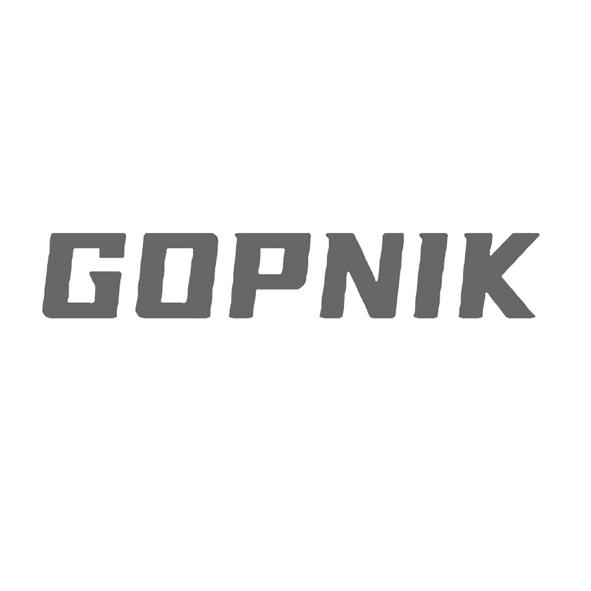 GOPNIK商标转让