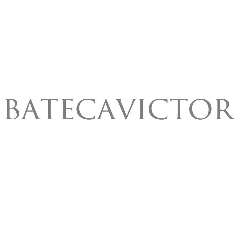 BATECAVICTOR商标转让