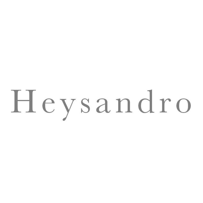 HEYSANDRO商标转让