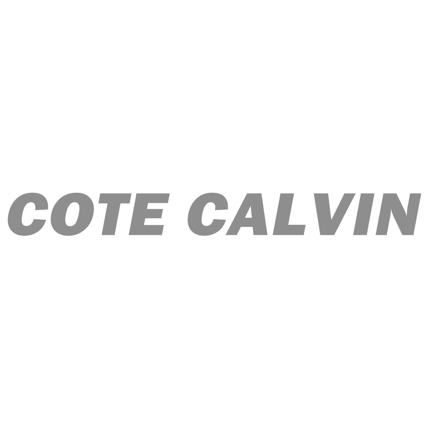 COTE CALVIN商标转让