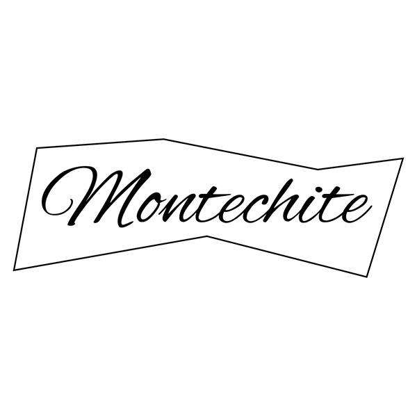 MONTECHITE商标转让