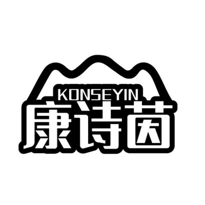 康诗茵 KONSEYIN商标转让