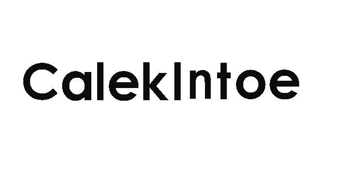 CALEKLNTOE商标转让