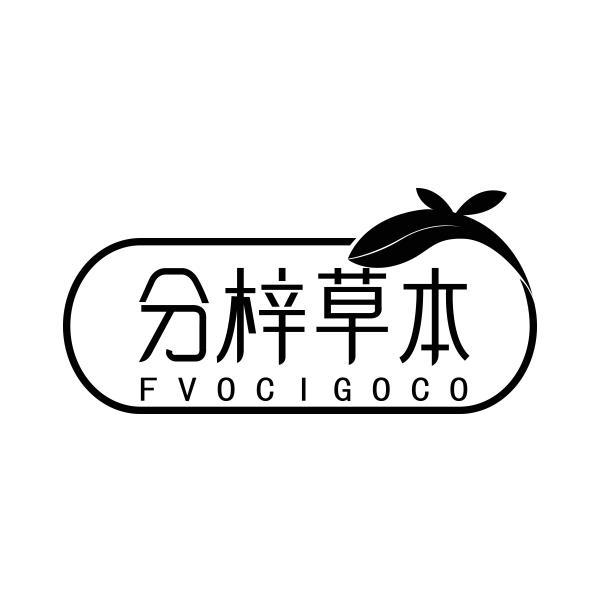 分梓草本 FVOCIGOCO商标转让