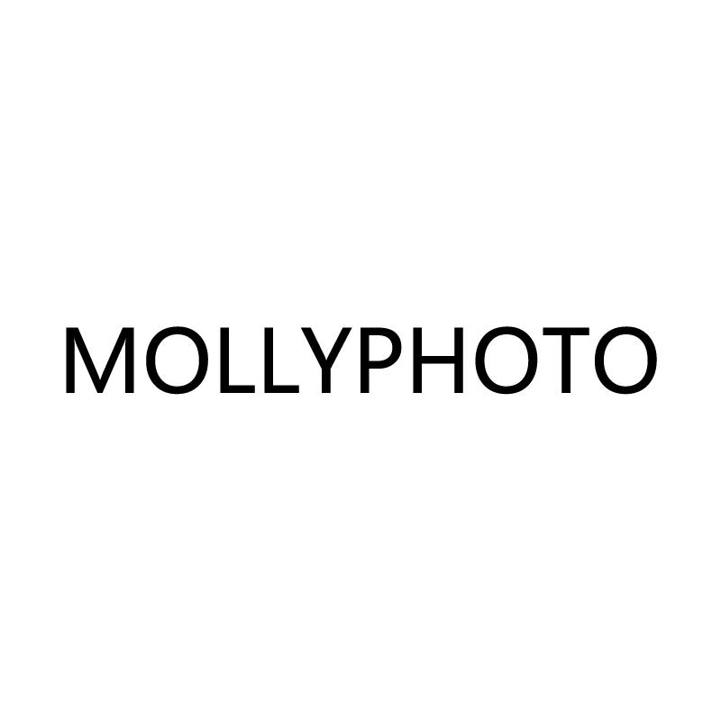 MOLLYPHOTO商标转让