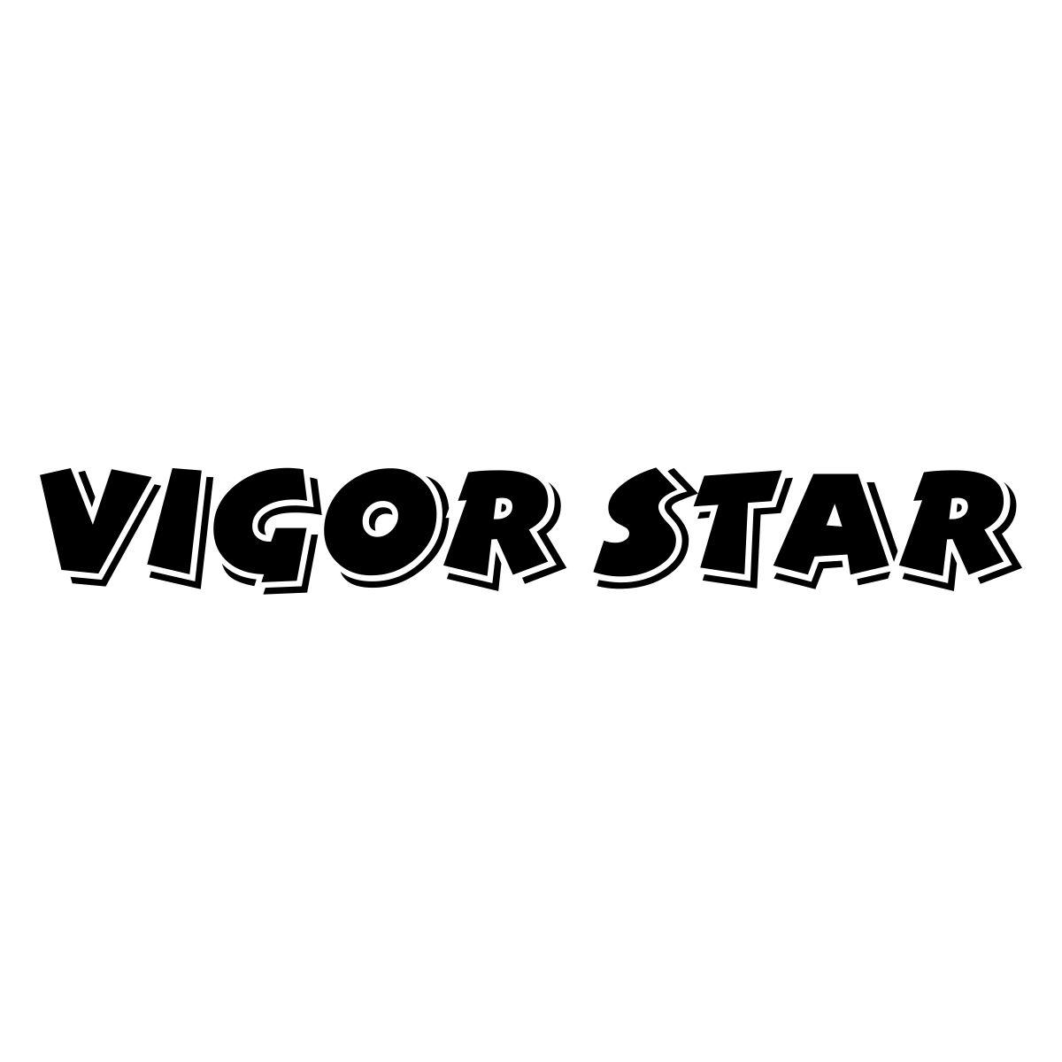 VIGOR STAR商标转让