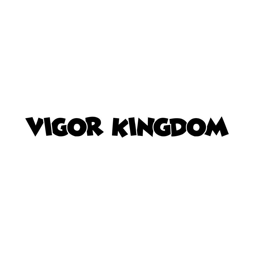 VIGOR KINGDOM商标转让