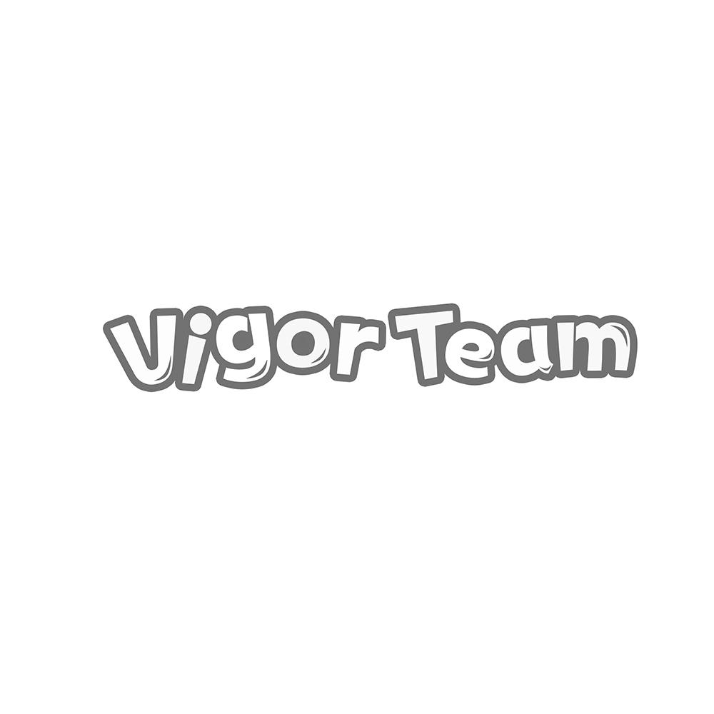 VIGOR TEAM商标转让