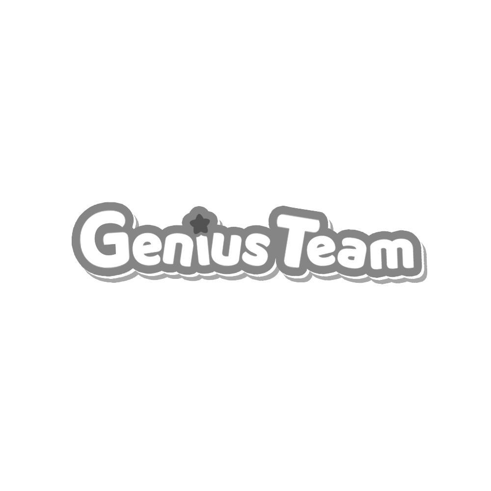 GENIUS TEAM商标转让