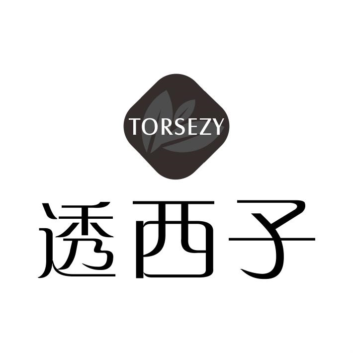 透西子 TORSEZY商标转让