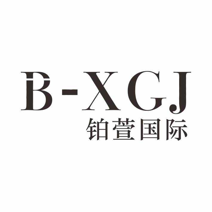 B-XGJ 铂萱国际商标转让