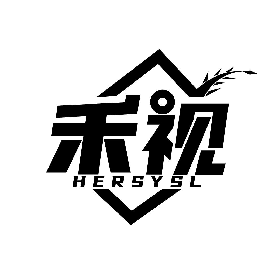 禾视 HERSYSL商标转让