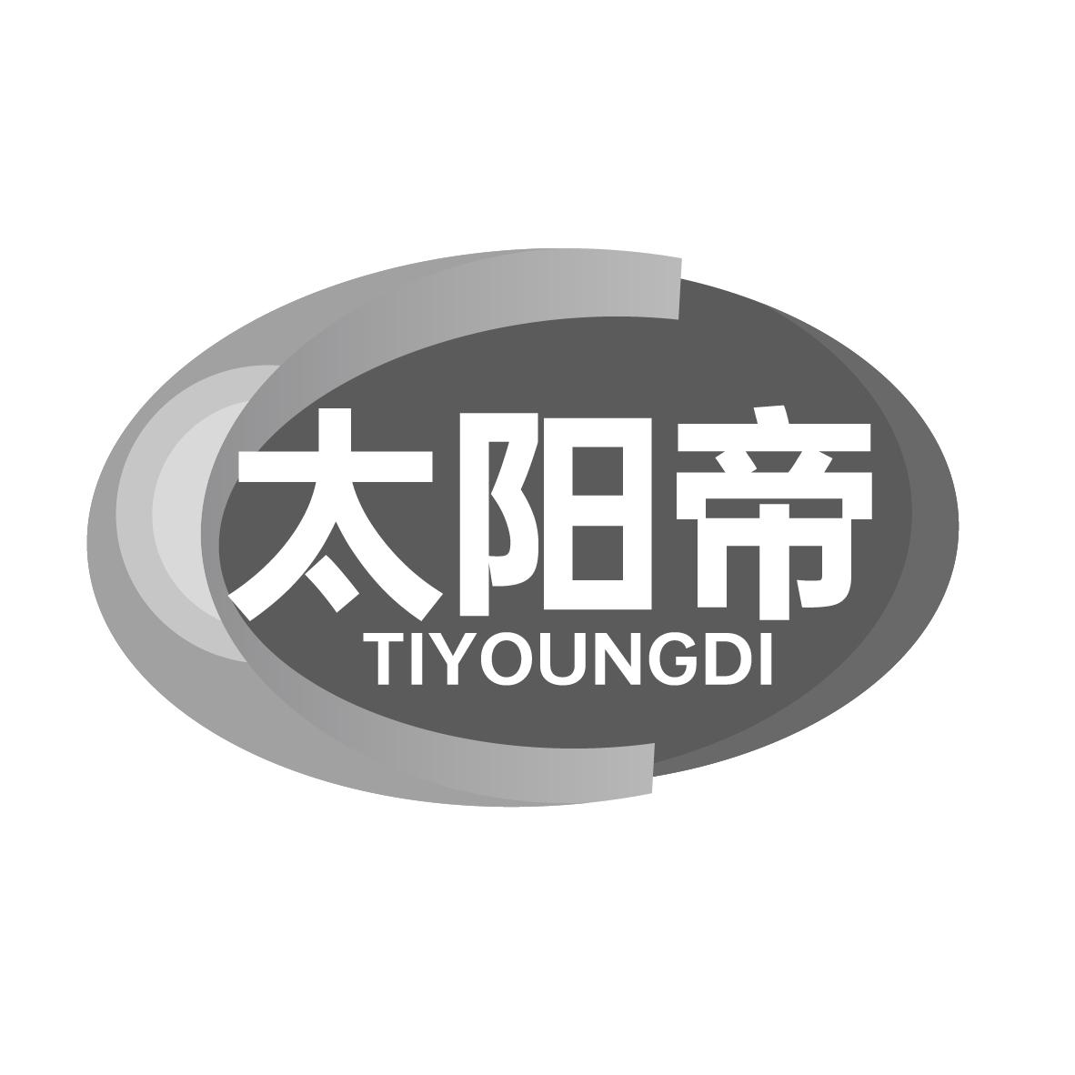 太阳帝 TIYOUNGDI商标转让