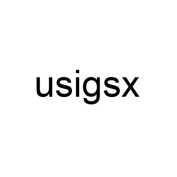 USIGSX商标转让