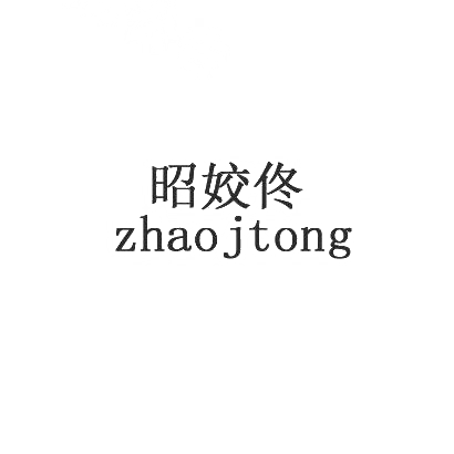 昭姣佟 ZHAO JTONG商标转让