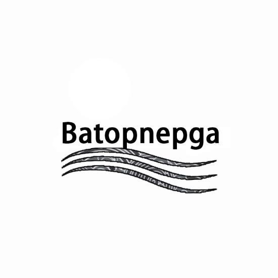 BATOPNEPGA商标转让